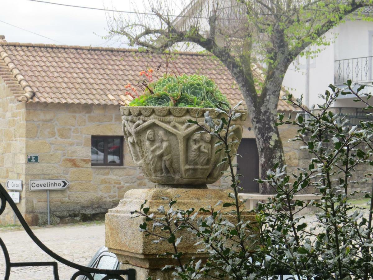 Вилла Casa Sao Joao Sao Joao da Serra Экстерьер фото